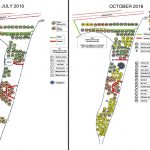 Planting plans 2016 and 2018