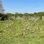 EXTRAORDINARY GENERAL MEETING 21st MAY 2026